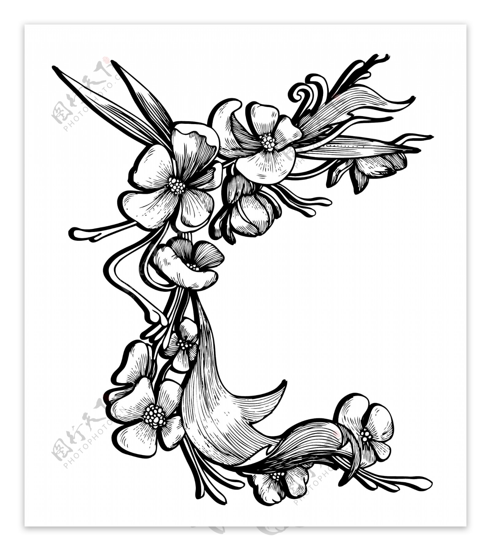 巴洛克风格的花卉元素矢量插图