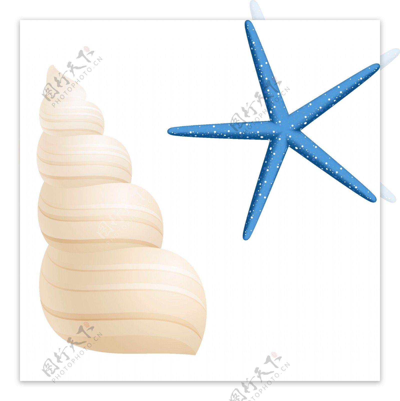 贝壳海螺矢量素材