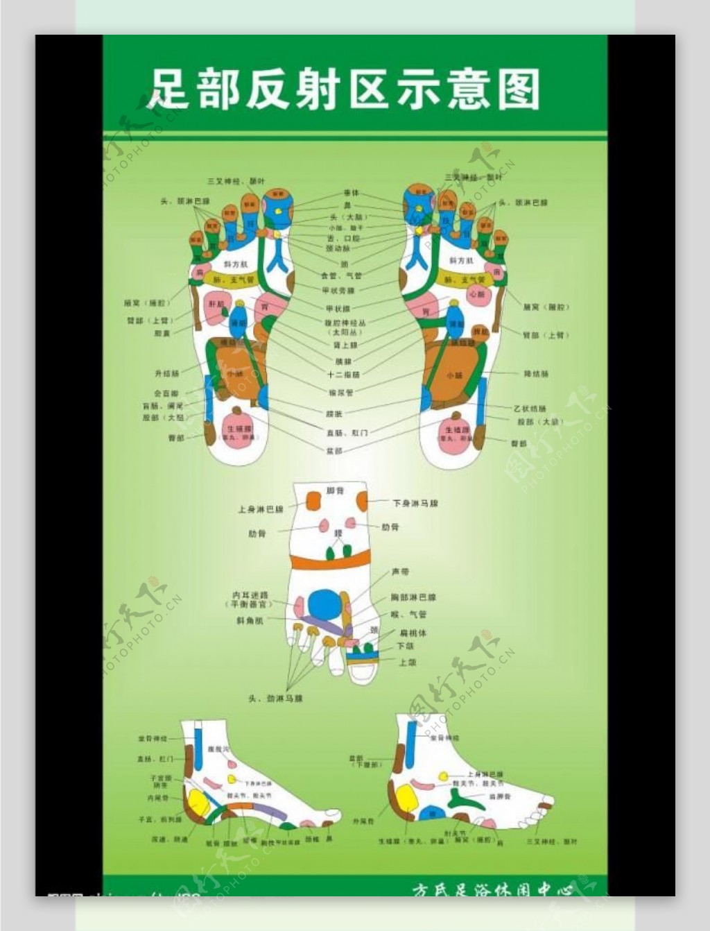 足部穴位图矢量图第二页图片