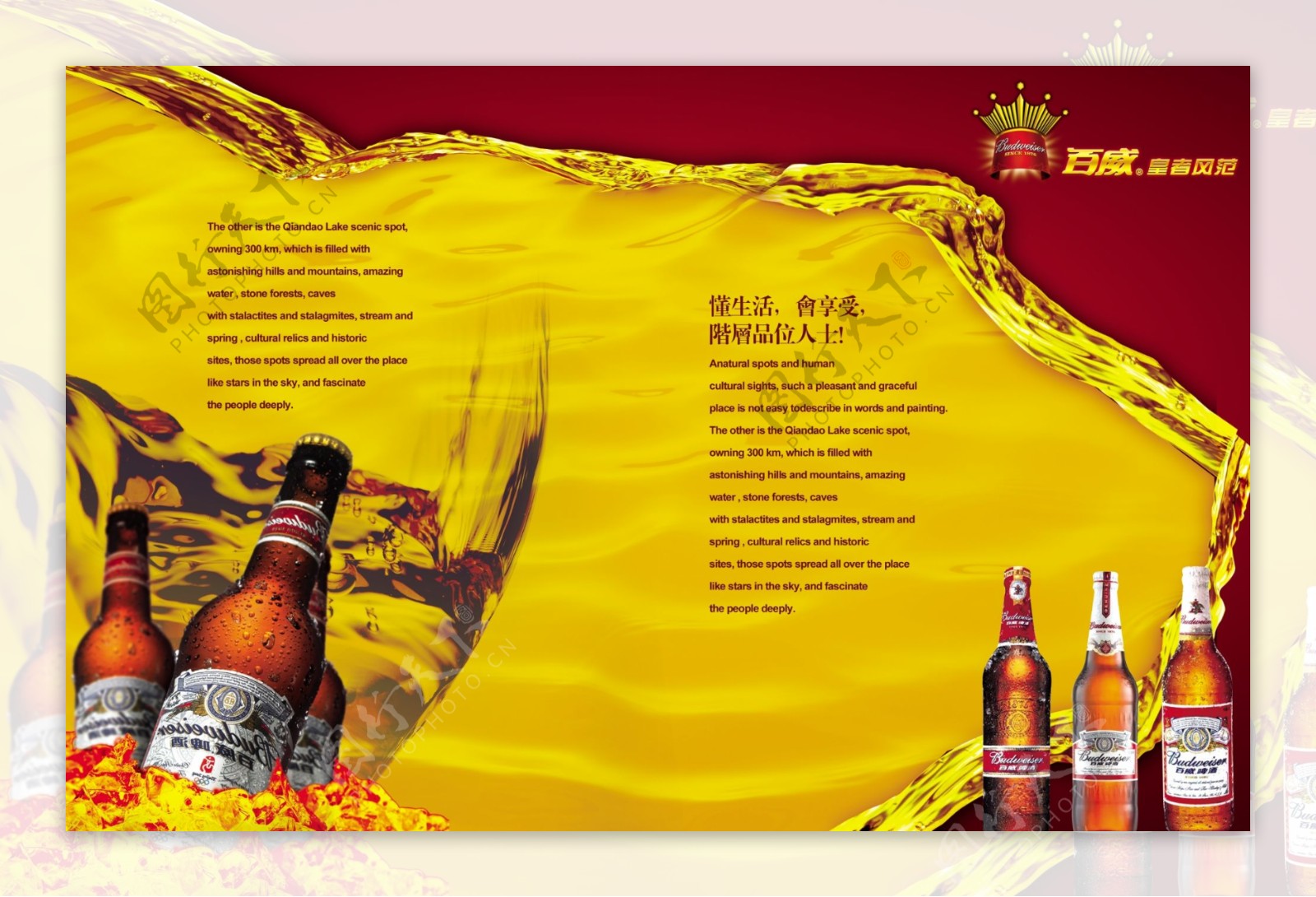 百威啤酒画册设计