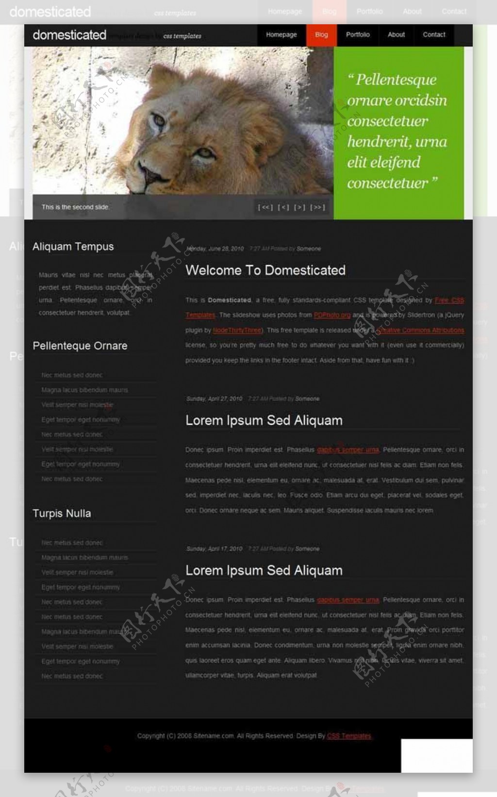 驯兽基地BLOG网页模板