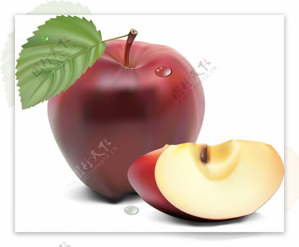 逼真绘制苹果水果矢量素材