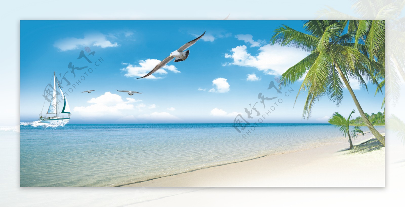 夏日湛蓝海滩椰树图片