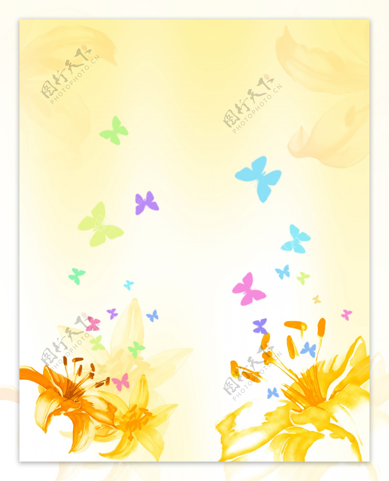 蝴蝶彩色蝴蝶飞舞黄色的花漂亮的花