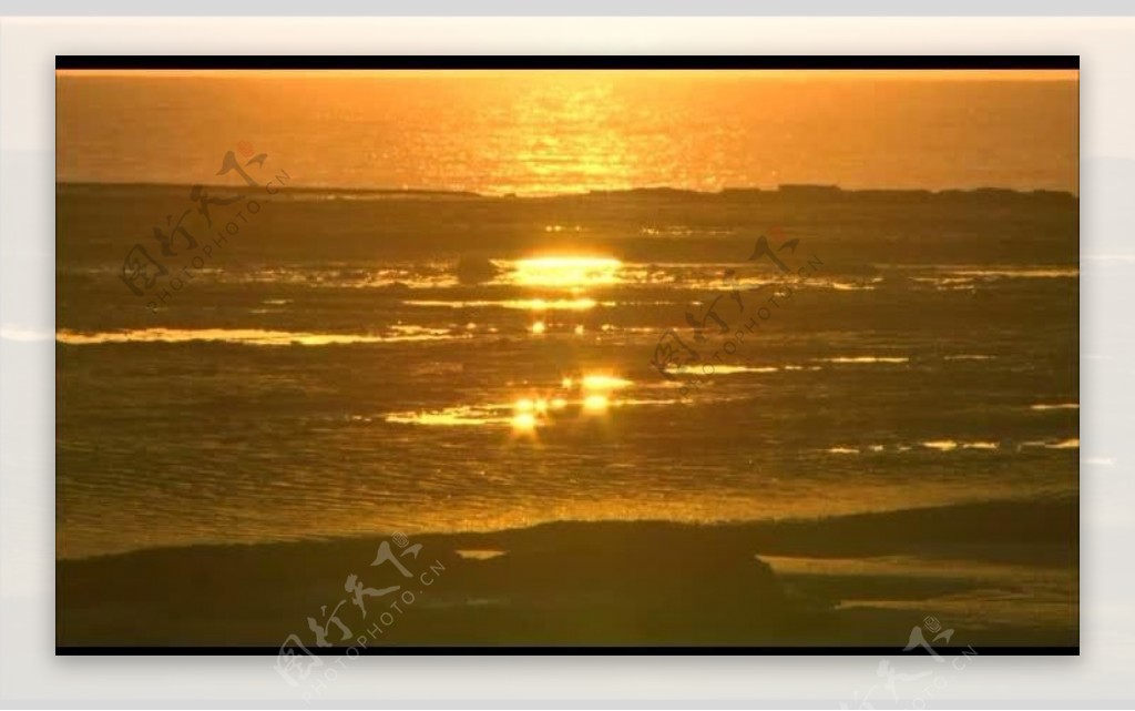 金色海岸风景画视频图片