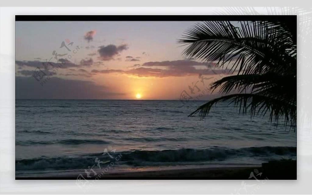 海岸夕阳风景画视频图片