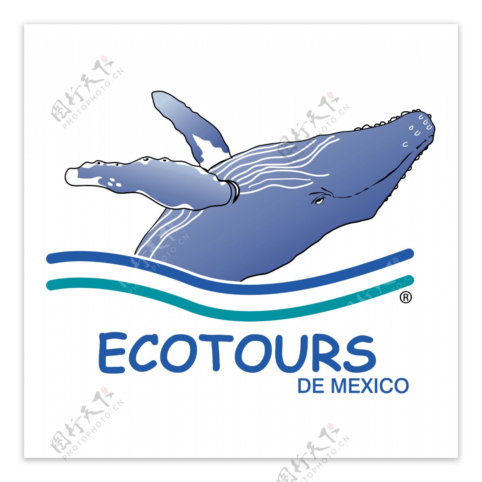 生态导游服务de墨西哥