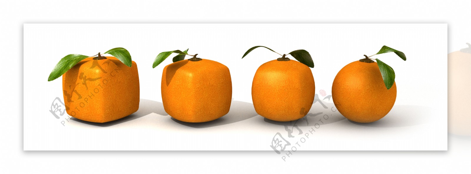 水果图片橘子