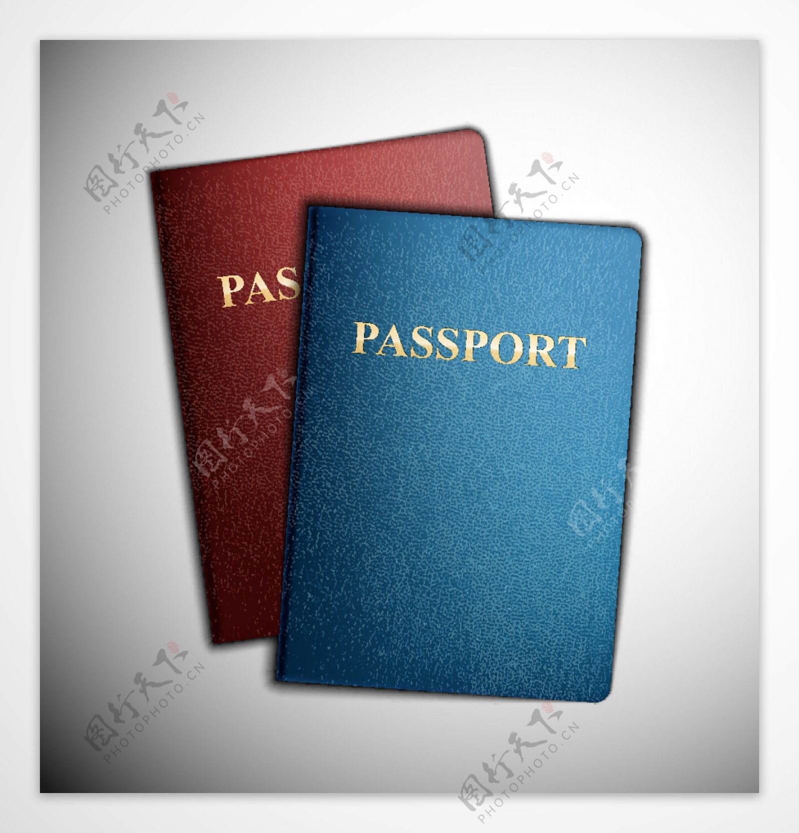 不同的护照模板矢量04
