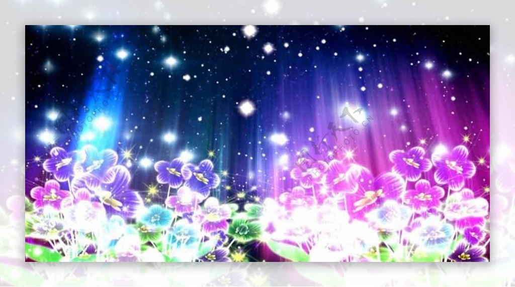 幽蓝小花动画LED歌曲舞台背景视频素材