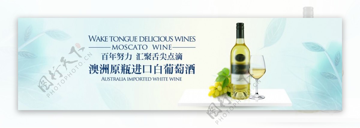 白葡萄酒海报设计
