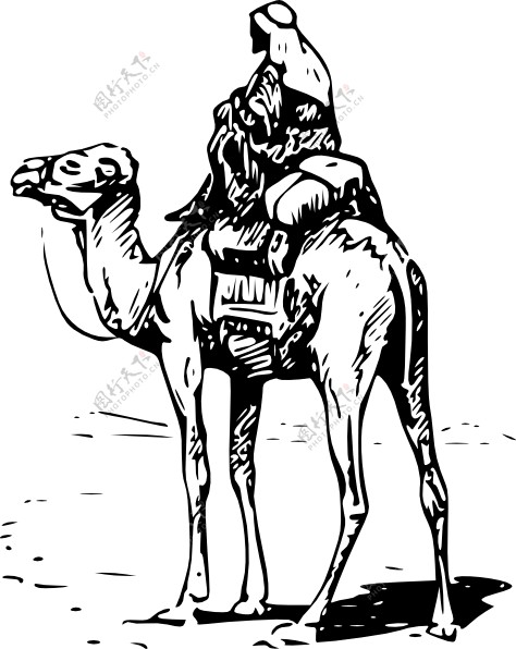 人骑骆驼的剪辑艺术