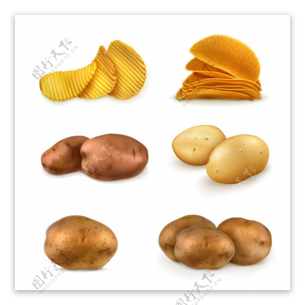 土豆与薯片图标矢量素材