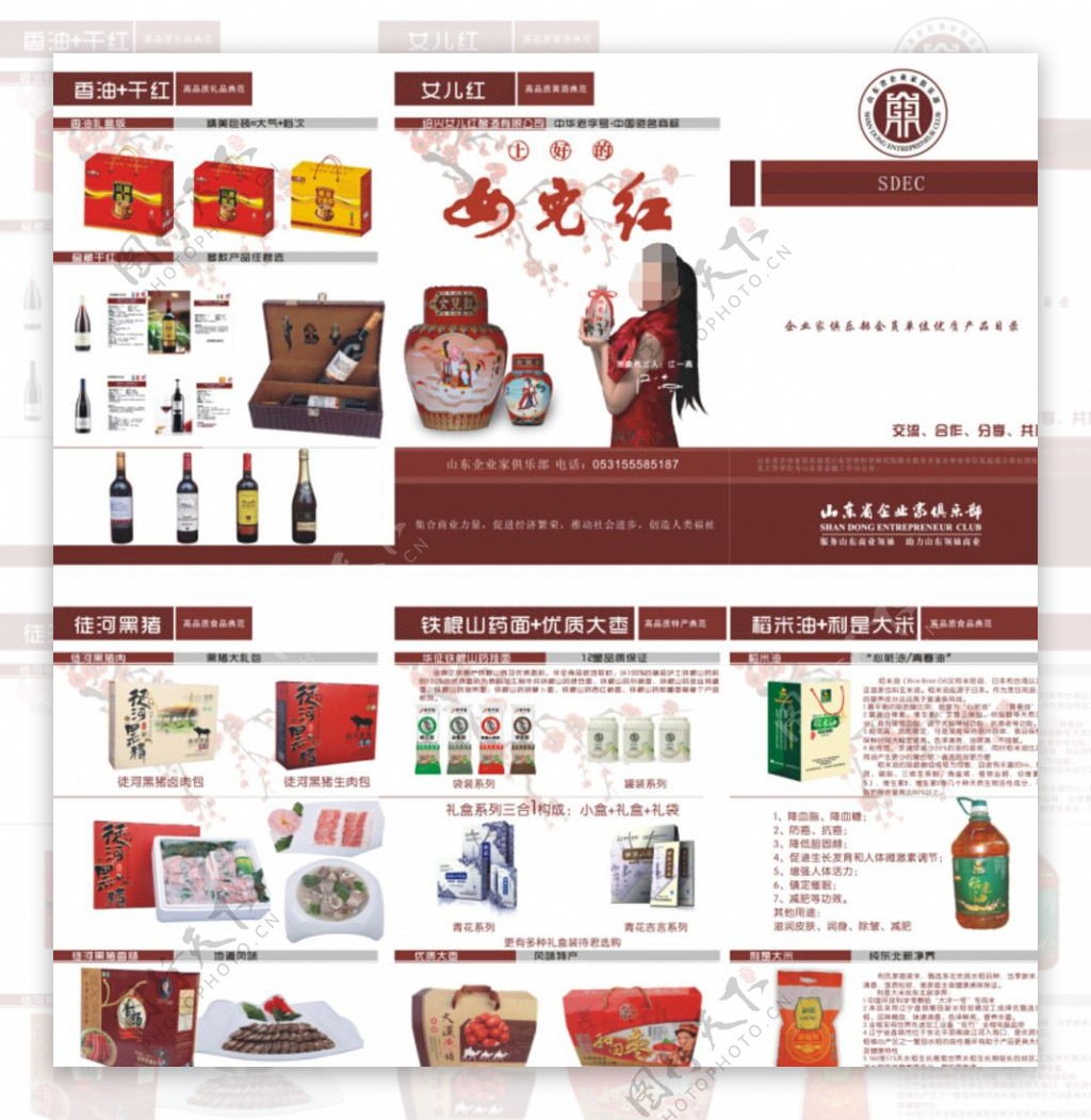 山东企业家俱乐部产品宣传折页图片