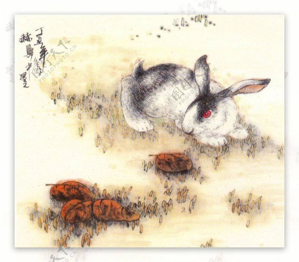 生肖兔国画17