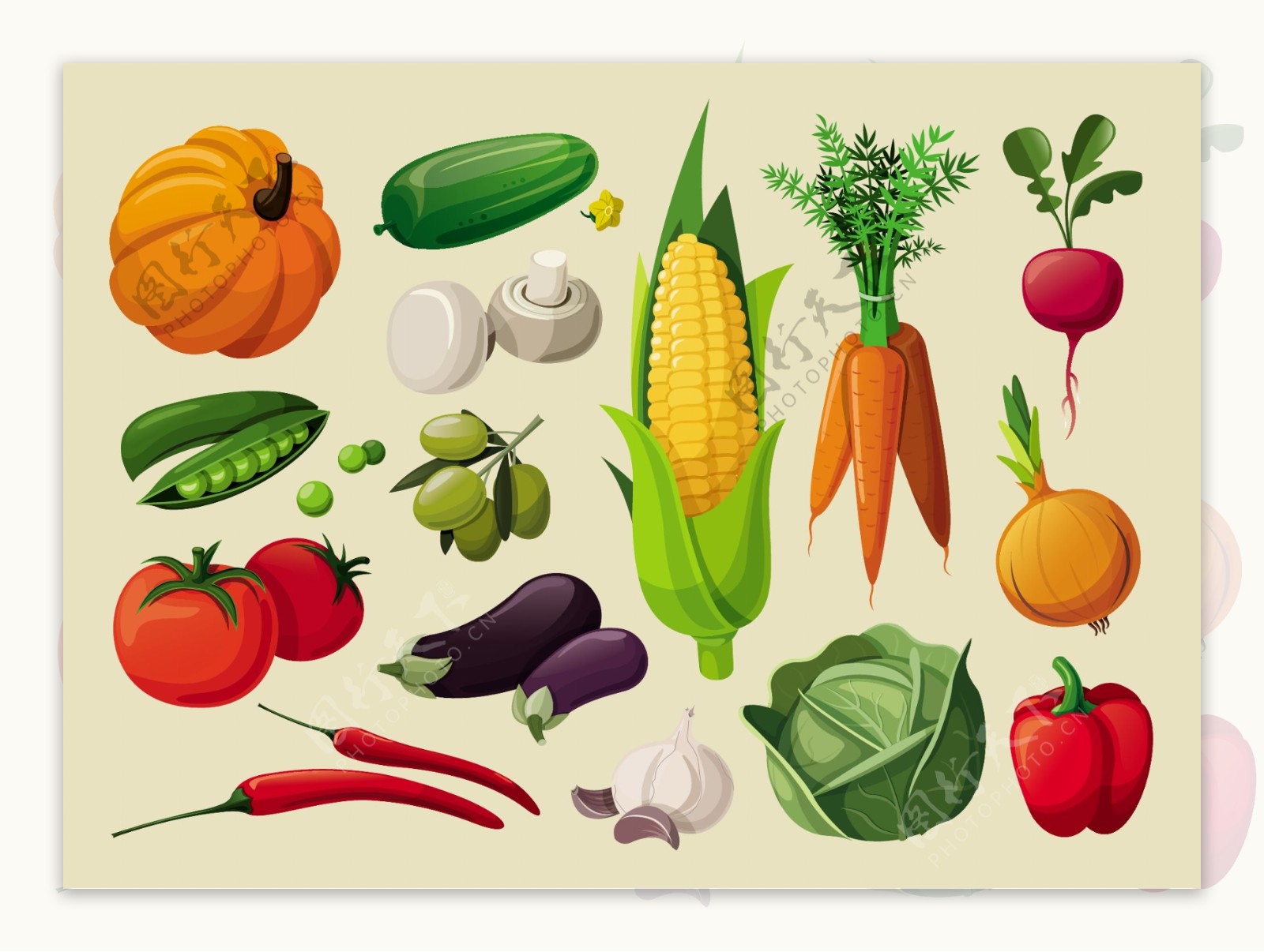 卡通蔬菜图片素材-编号07947575-图行天下
