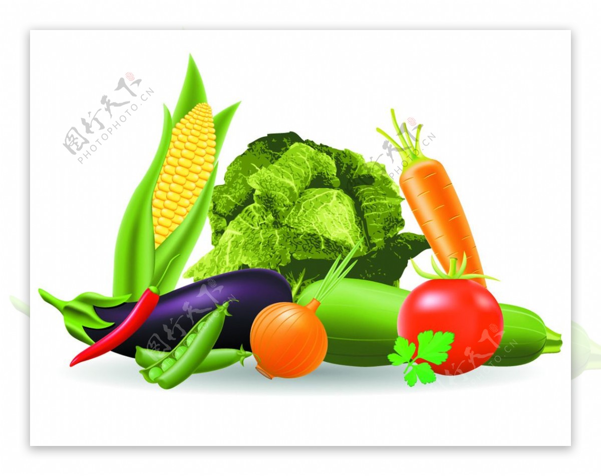 新鲜蔬菜矢量素材模板图片