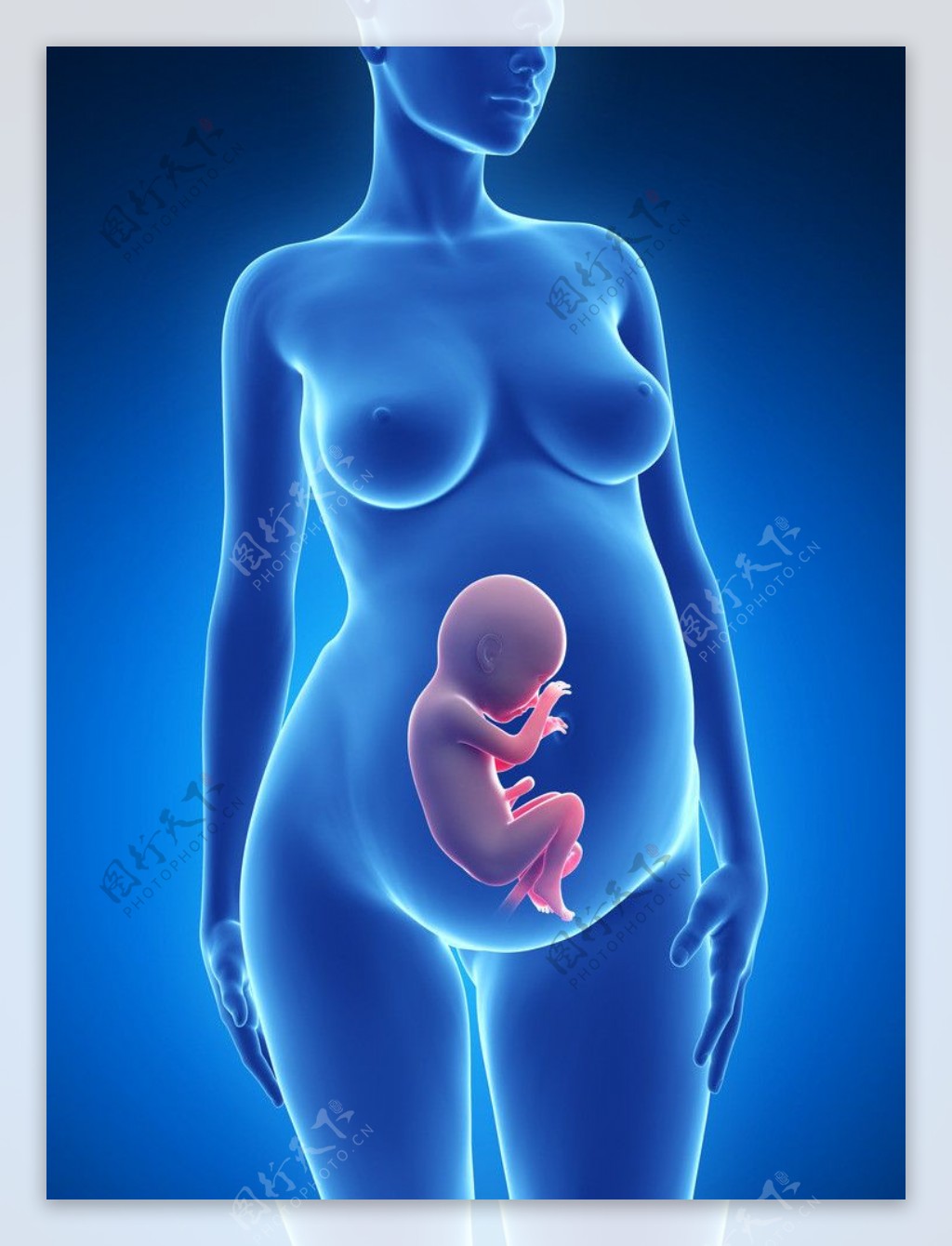 怀孕医学图片