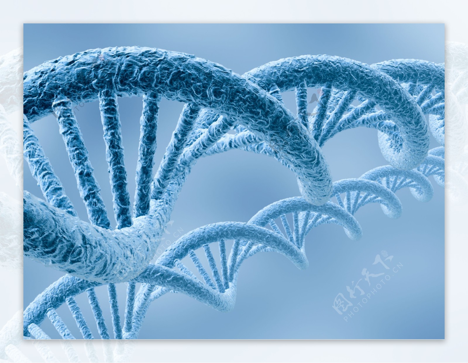 生物学DNA图片