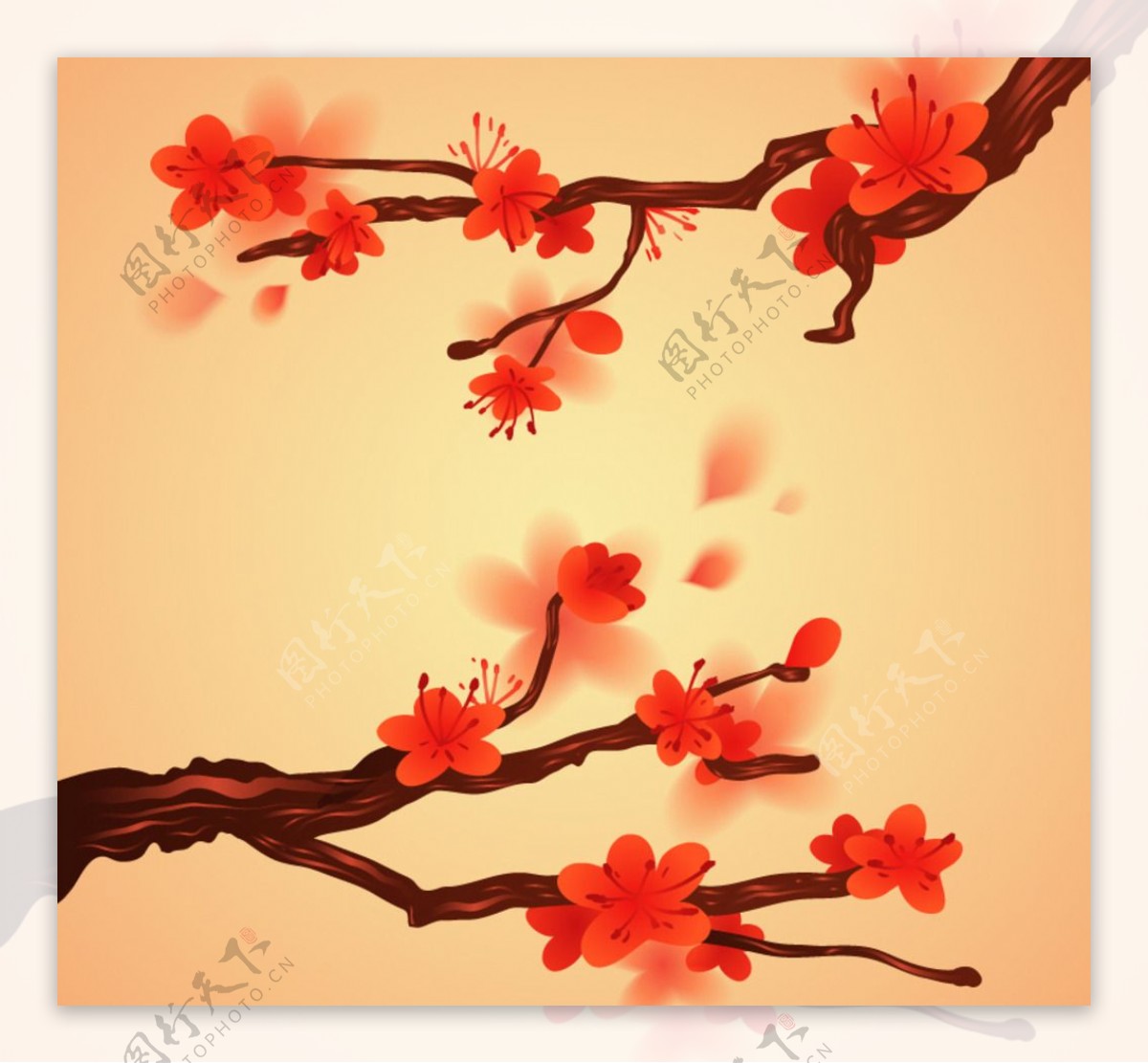 红色水彩梅花花枝图片