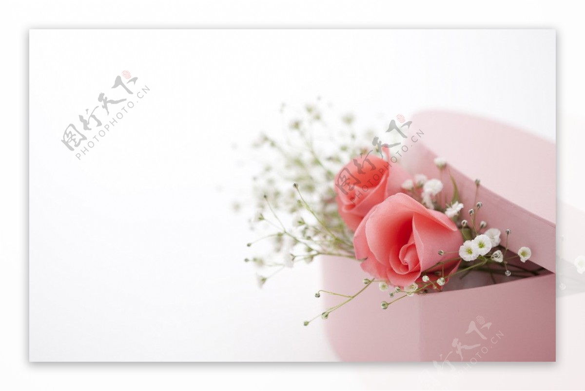 玫瑰鲜花礼盒图片