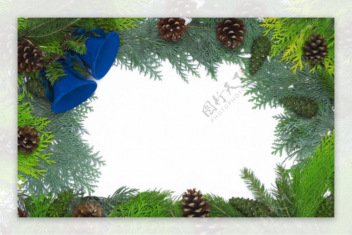 圣诞松树枝背景图片