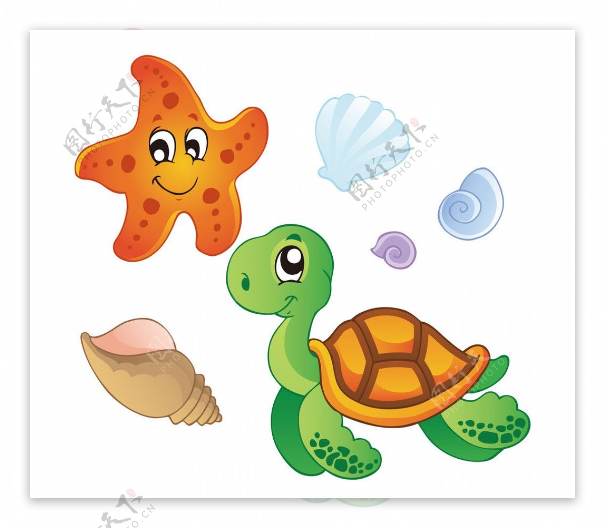 矢量乌龟海五星图片