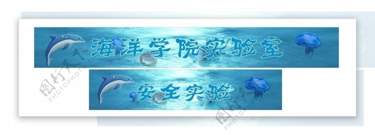 海洋生物背景图片