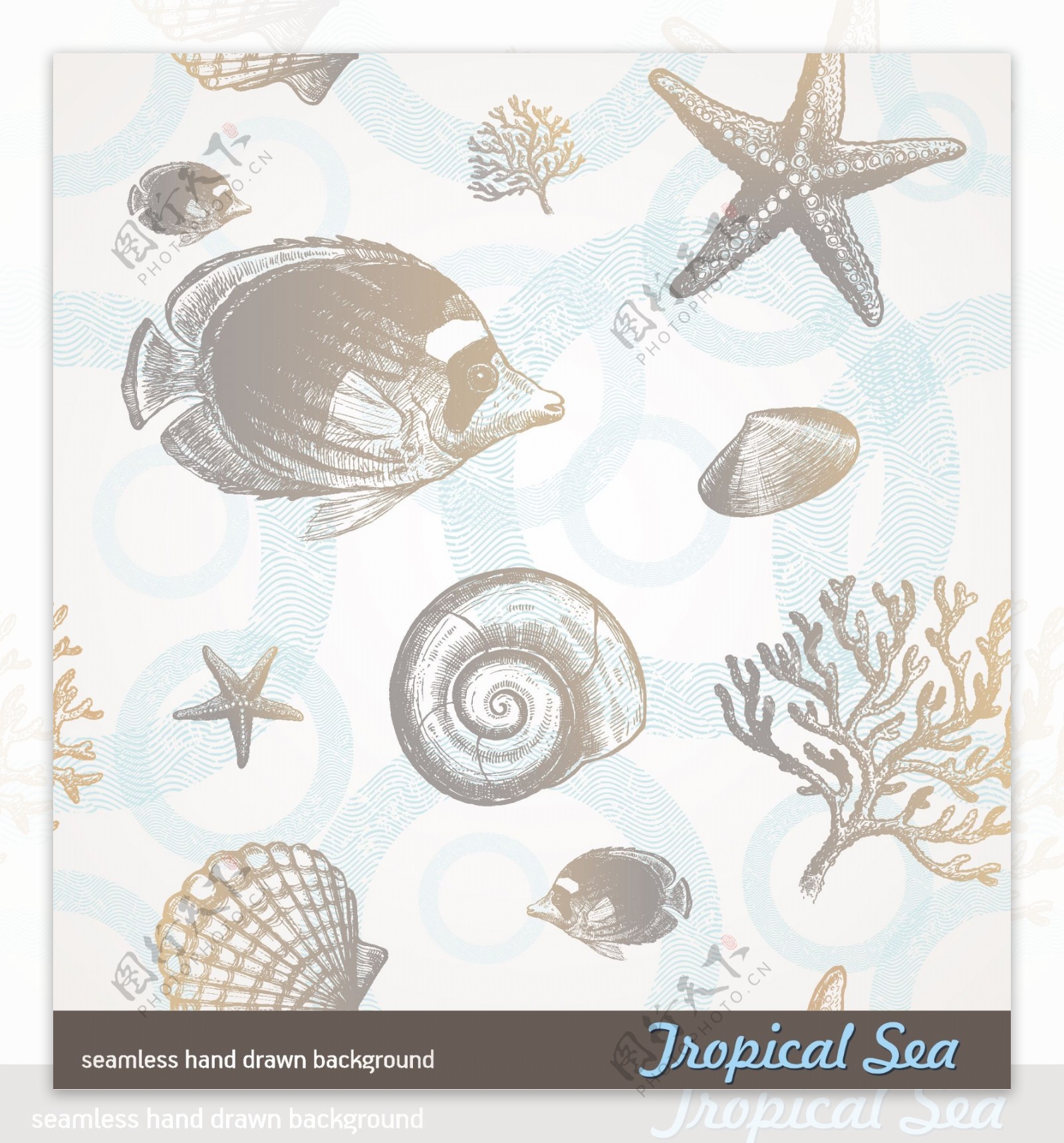 手绘素描海洋生物图片