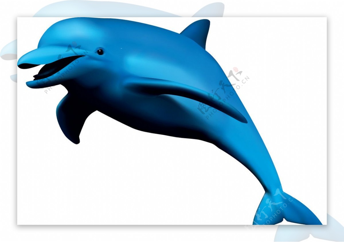 网格矢量海豚图片