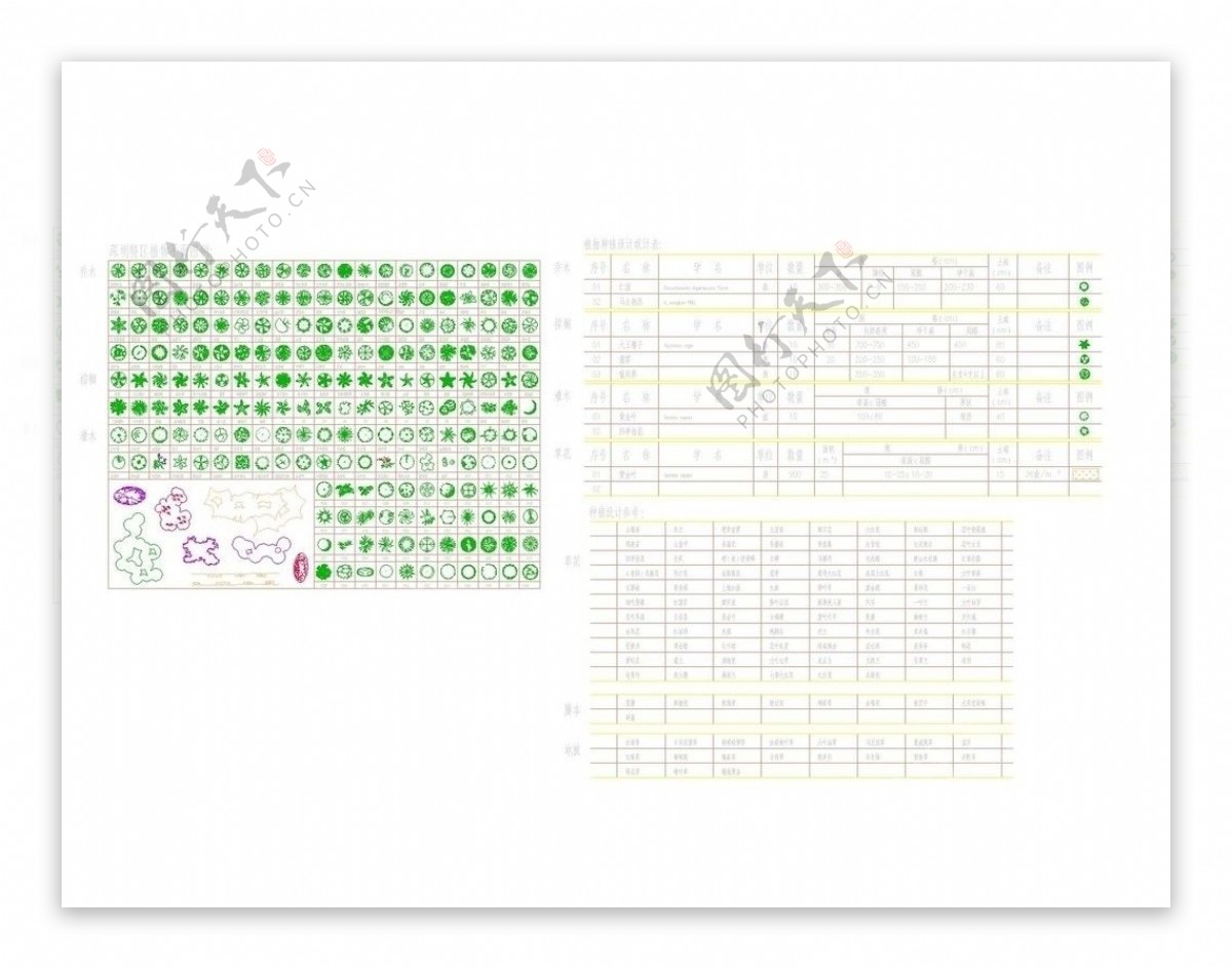 深圳植物设计CAD图例集图片