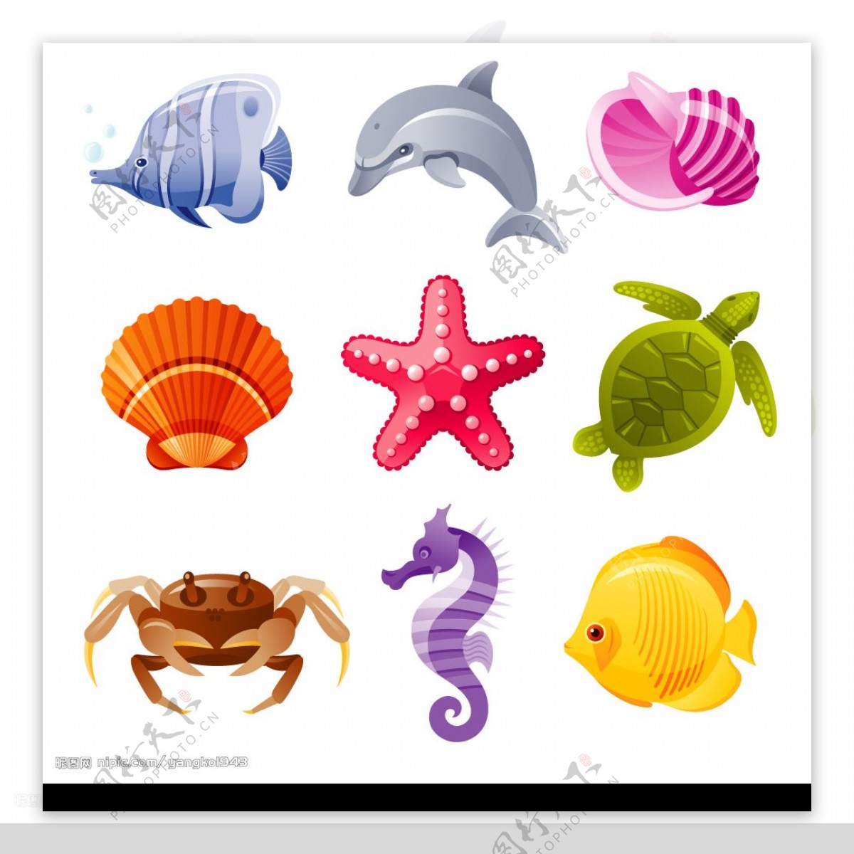 海洋动物矢量图图片