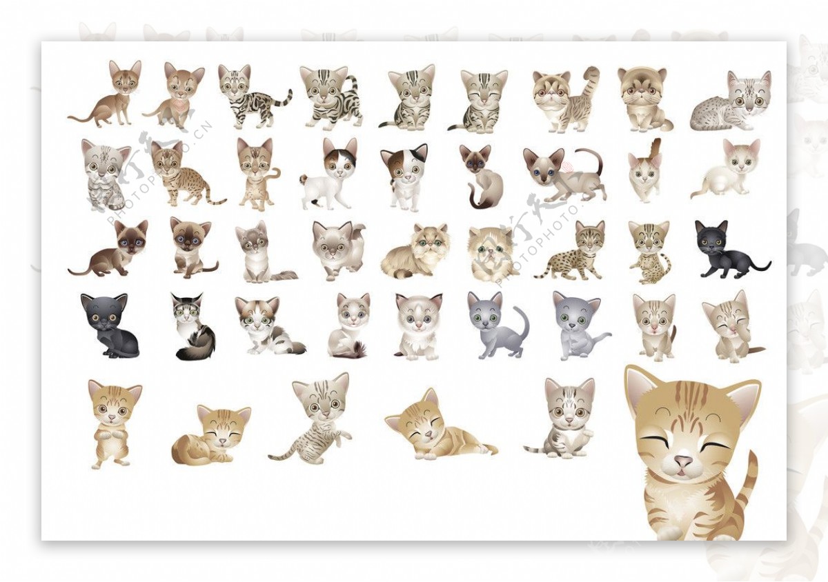 可爱猫猫矢量素材图片