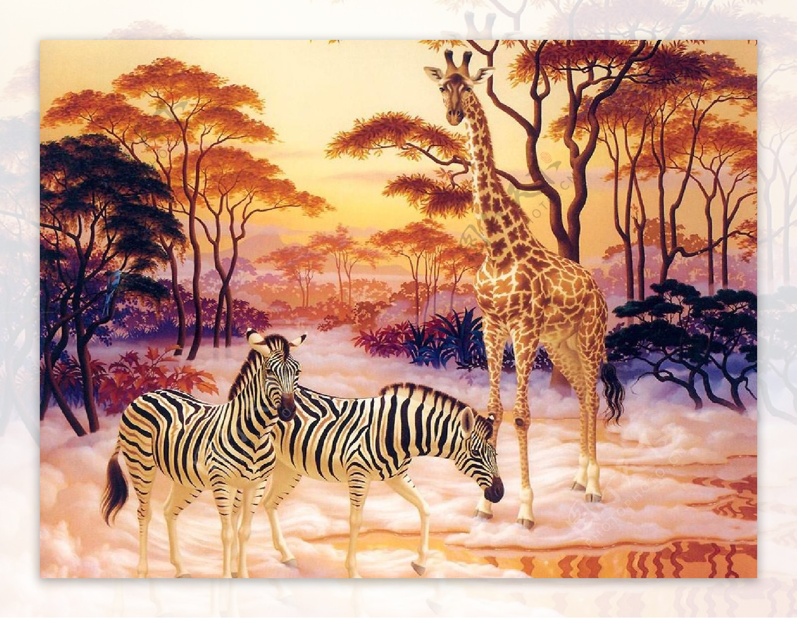精美奇妙的动物画斑马与长颈鹿图片
