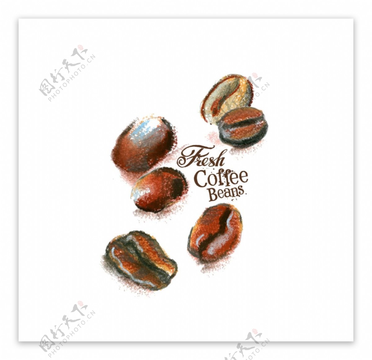 精美彩绘咖啡豆矢量素材图片