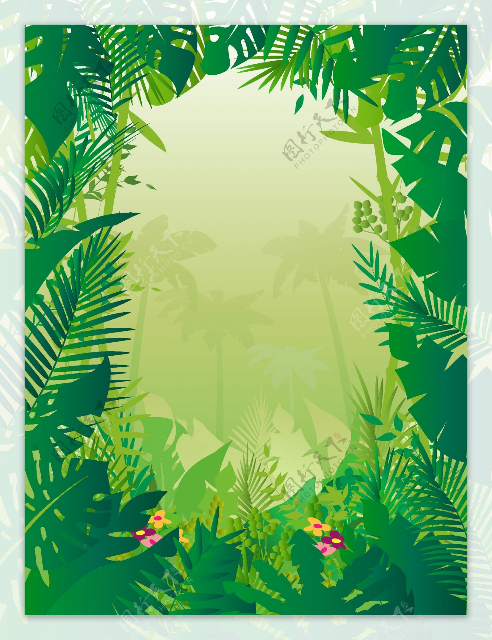 热带雨林树叶边框图片