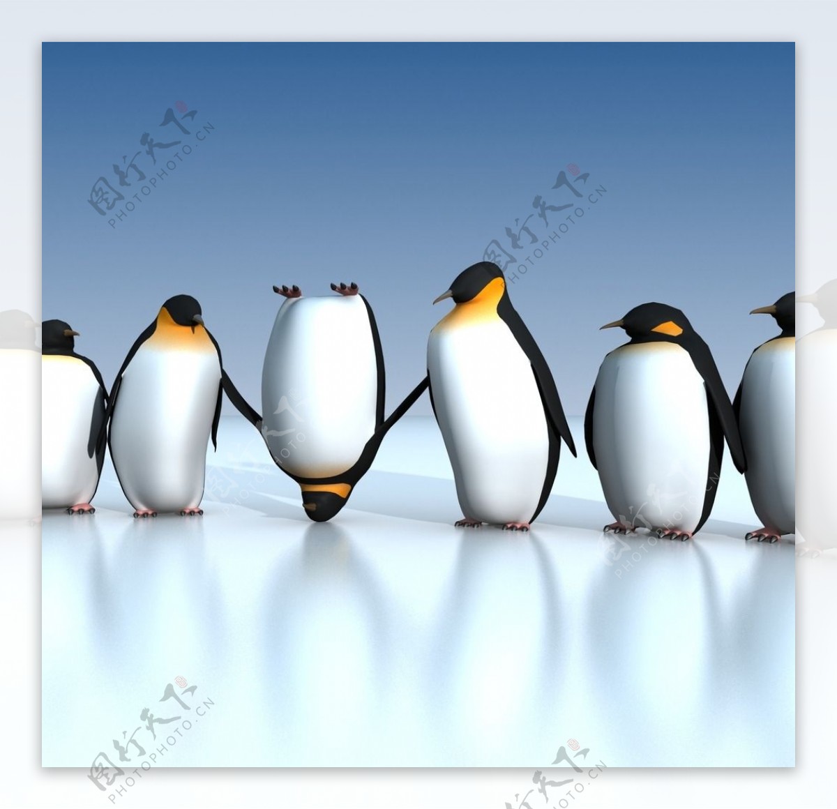 企鹅 南极企鹅摄影图__野生动物_生物世界_摄影图库_昵图网nipic.com