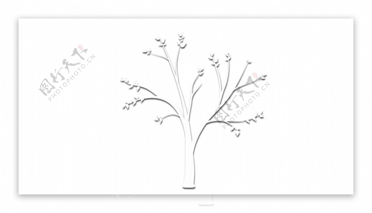 纯白简单唯美树图片
