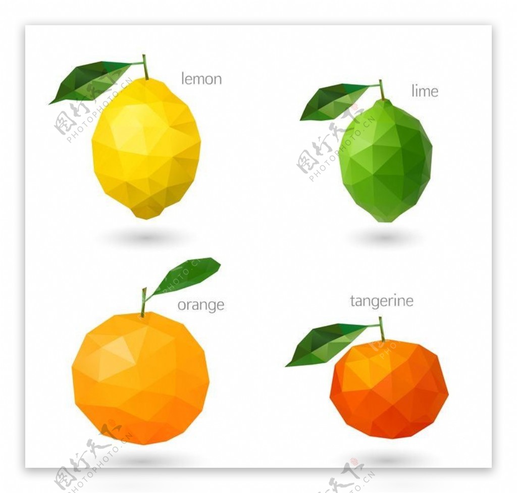 柠檬橘子水果设计图片
