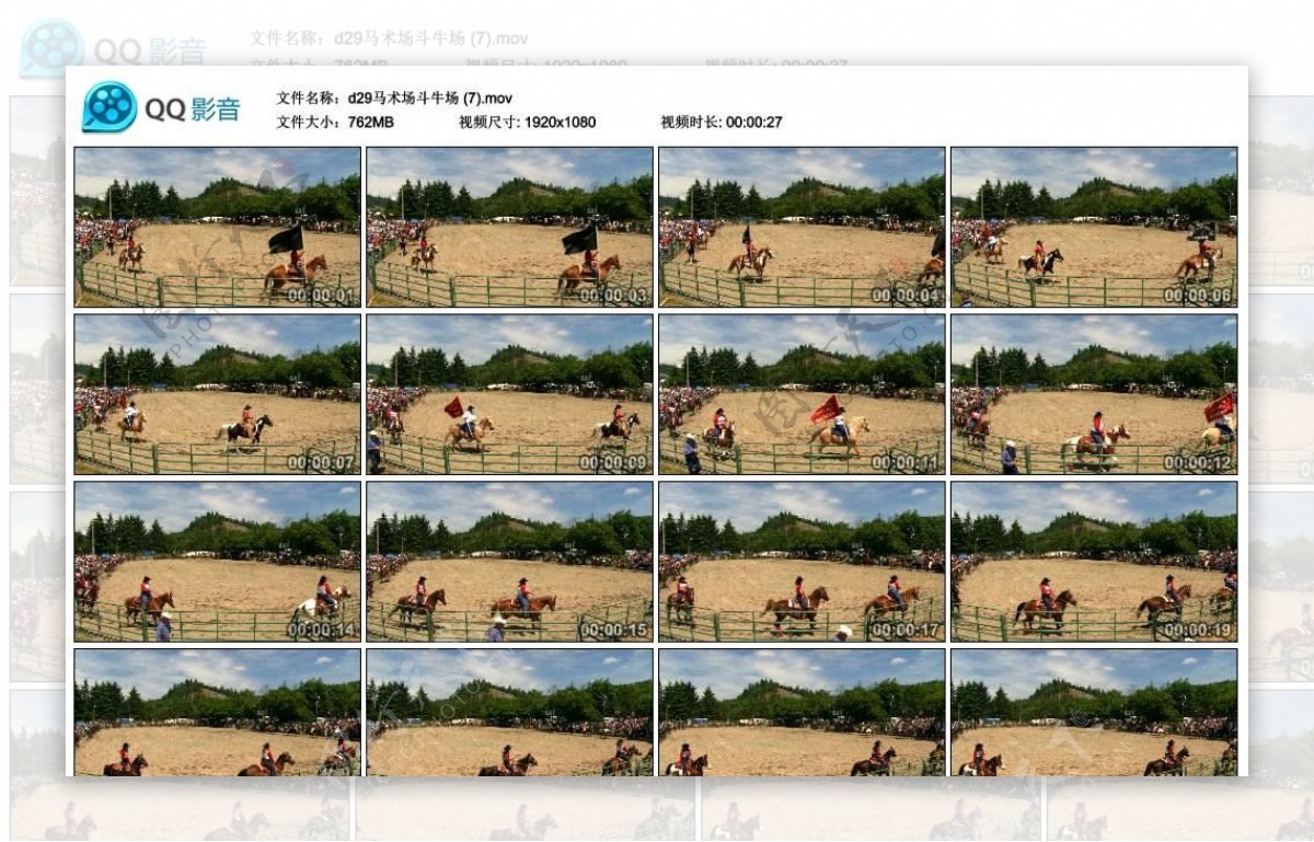 马术场骑马高清实拍视频素材