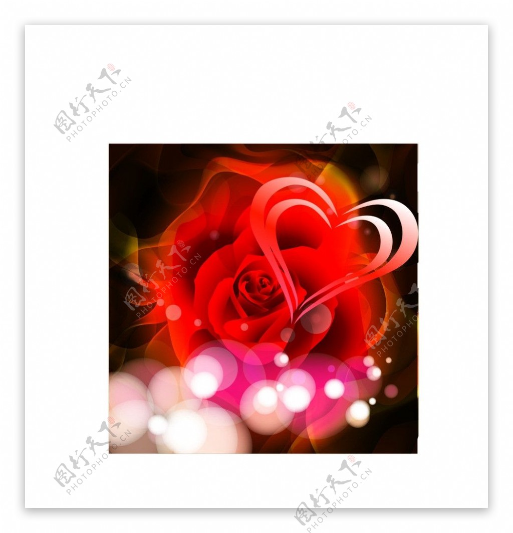 浪漫唯美玫瑰花矢量素材图片