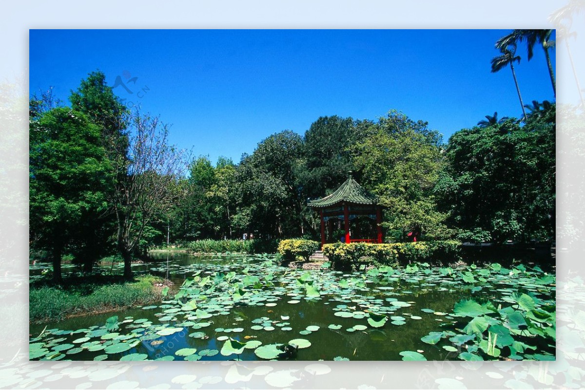 台灣植物園图片