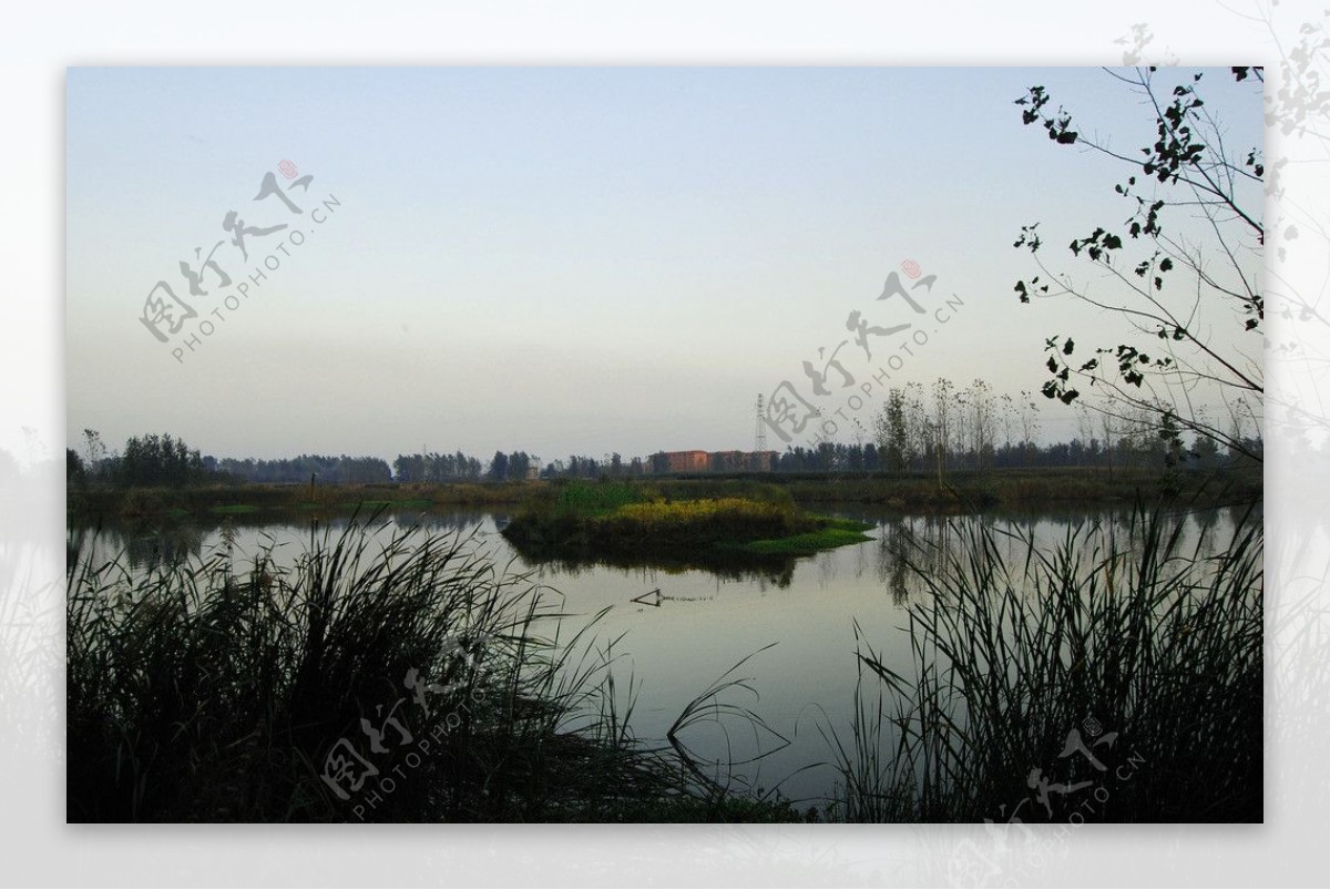 湿地美景图片