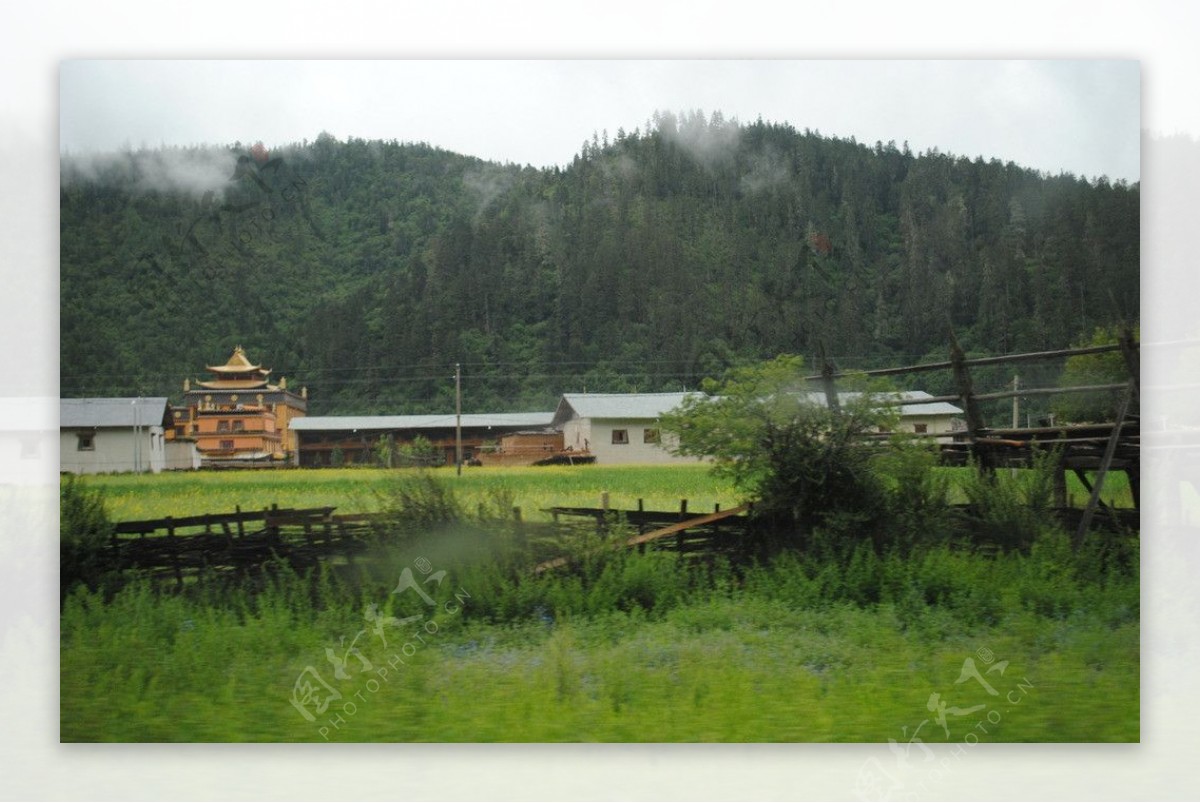 香雨季格里拉图片