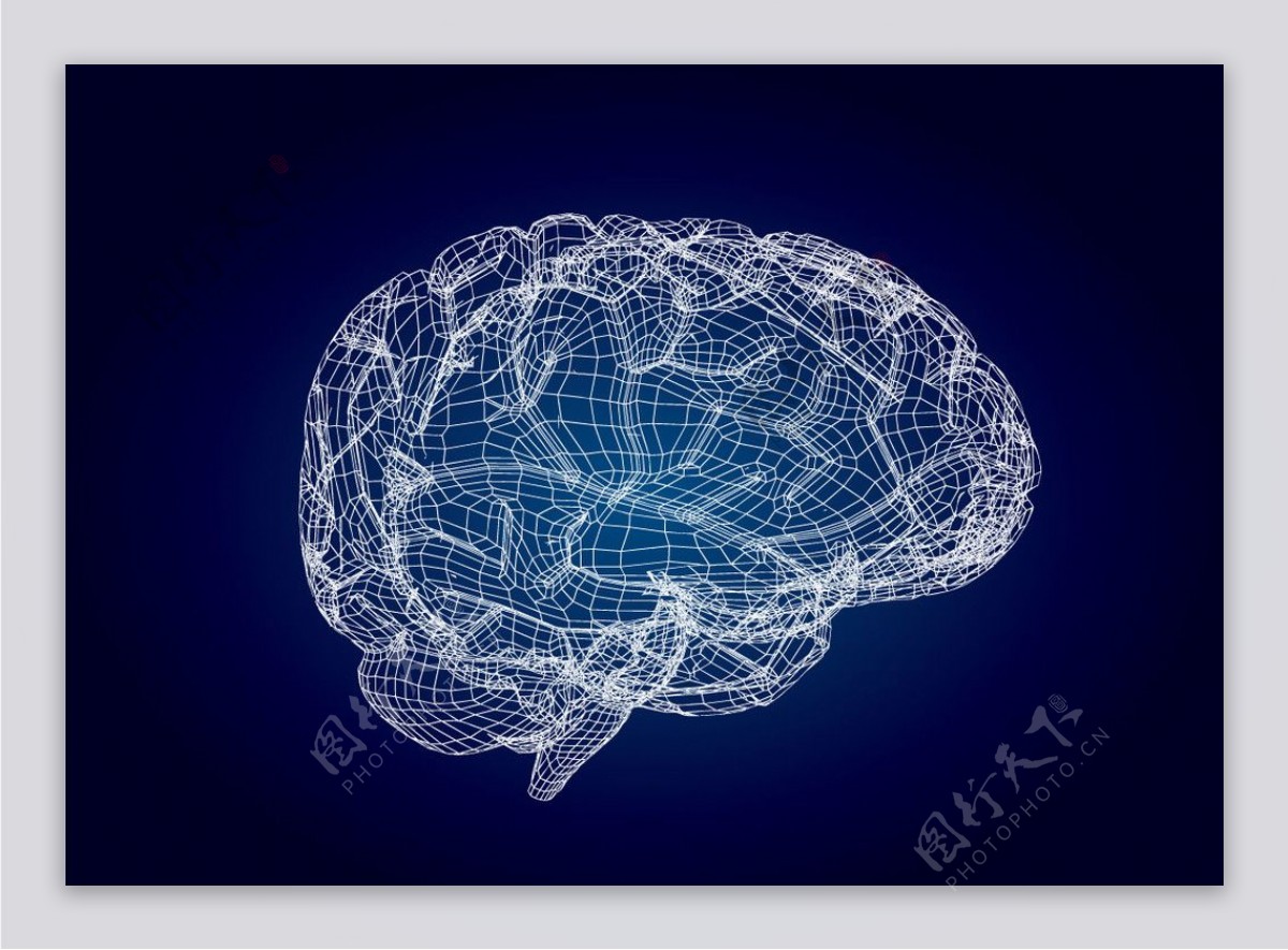 3D模型风格大脑矢量素材图片