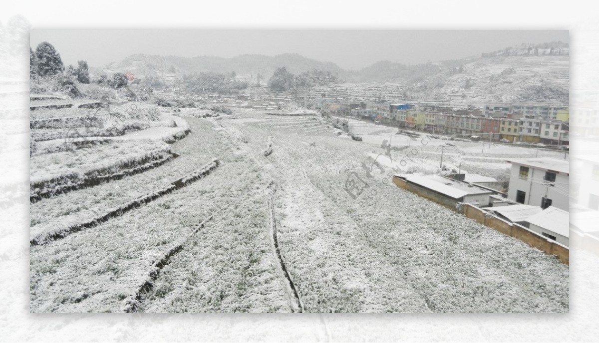 田野雪景图片