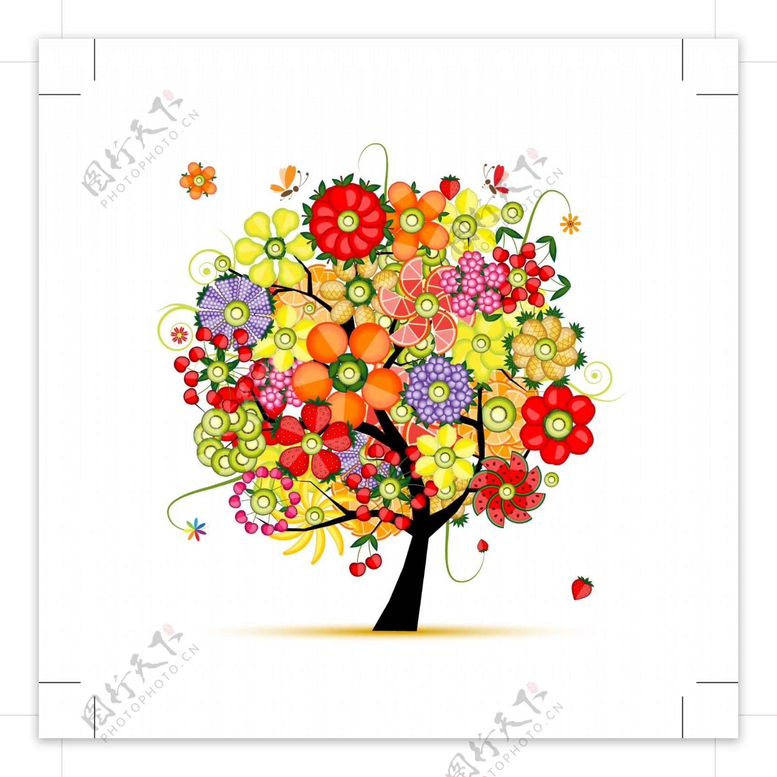 水果花纹树木图片