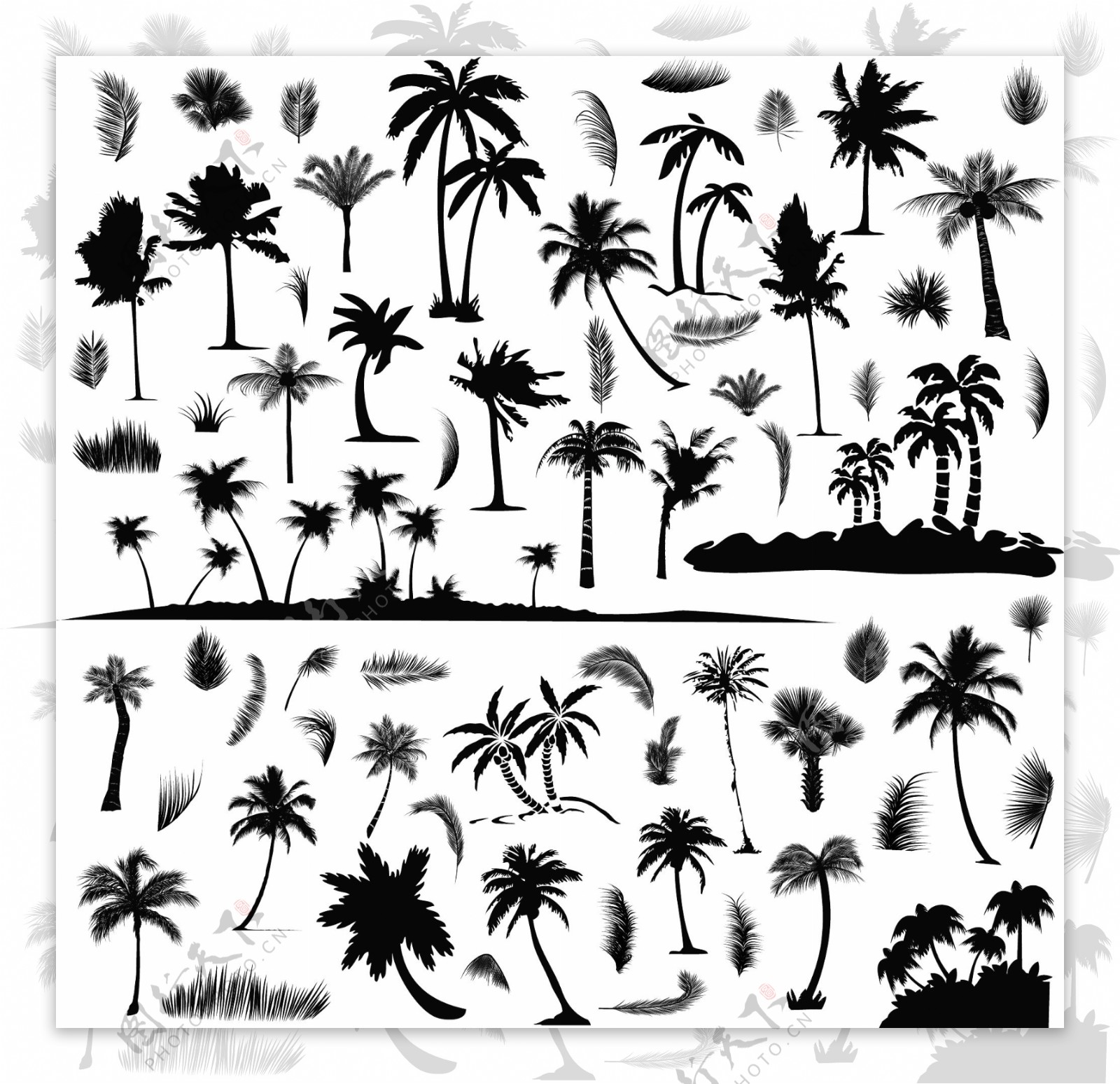 沙滩椰子树剪影图片