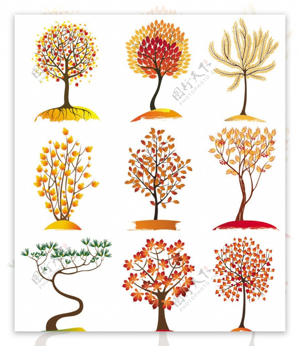 秋天树木卡通树木图片