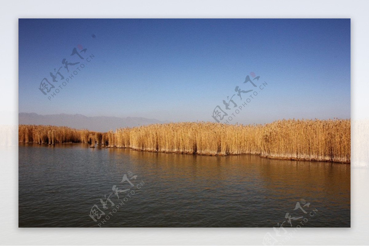 沙湖一景图片